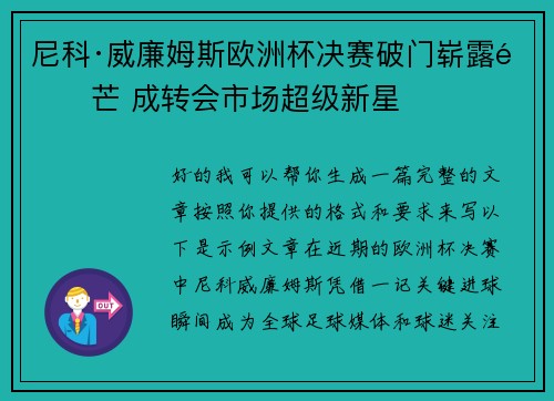 尼科·威廉姆斯欧洲杯决赛破门崭露锋芒 成转会市场超级新星